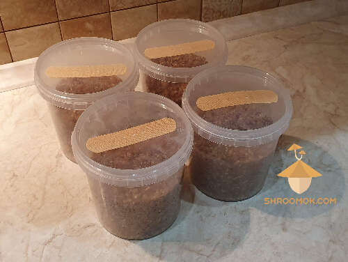 Heat-resistant polypropylene jars for substrate