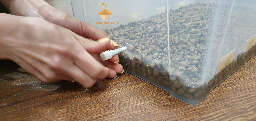 Growbox preparation for magic mushrooms growing