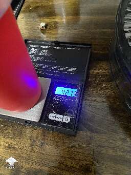Tidal Wave harvest - 428 grams wet