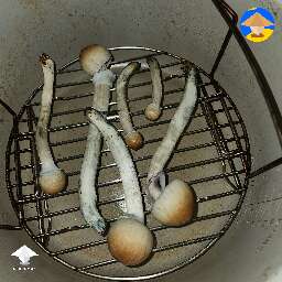 85 grams on a couple cakes