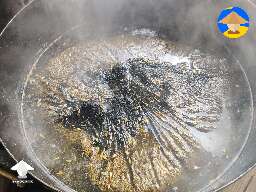 Grain for gourmet spawn