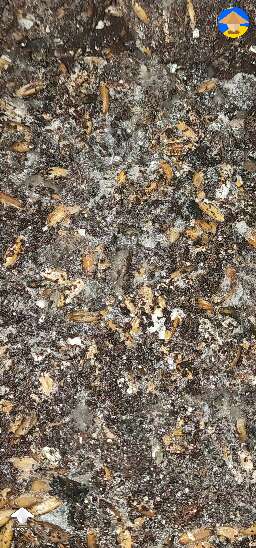 Healthy or contaminated?
