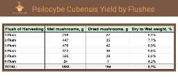 Psilocybe mushrooms yield statistics