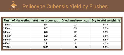 Psilocybe mushrooms yield statistics