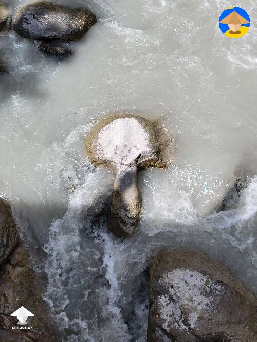 Mushroom shaped rock in a river