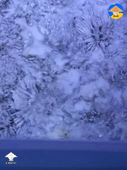  Looks like fluffy or stroma. Am I being impatient?