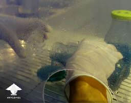Working with agar in still air box