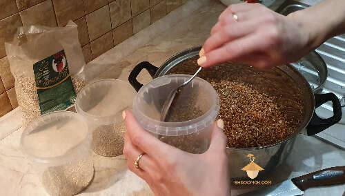 Fill jars with substrate for growing psilocybe cubensis