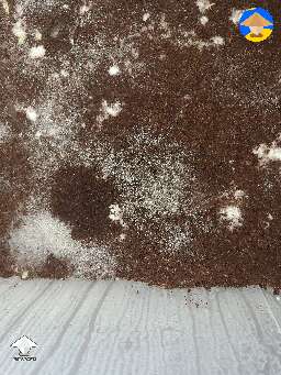 Better photo now. Contamination? Cobweb?