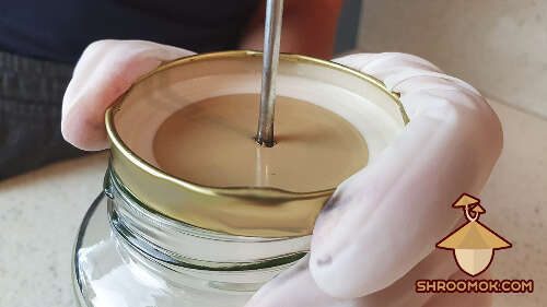 Make one hole in metal lid for inoculation port and filter