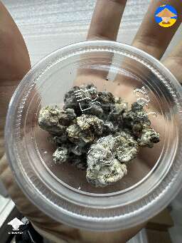3 months later and we’ve got magic truffles