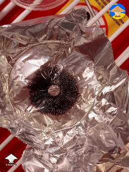 Spore print for mycological research only!