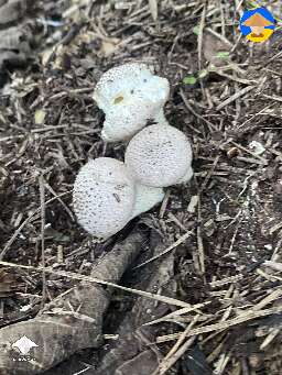 Anyone know what this is?