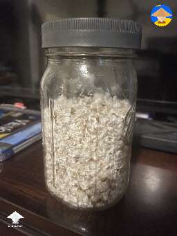 Maiden voyage jars are ready to go! #2