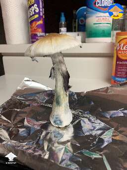 Just wanted to share this beauty