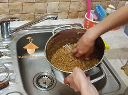 Clean grain for substrate for growing mushrooms