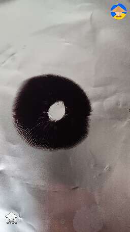 GT spore print