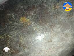 Contamination? What's that