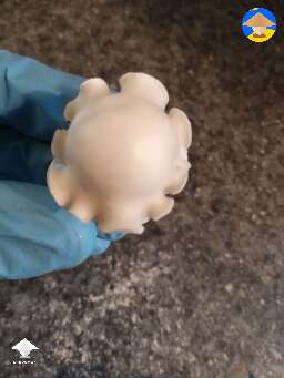 Nice Deep Blue Yeti mushroom cap