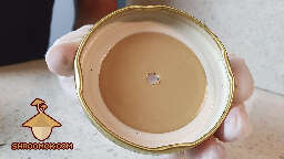 Lid with port