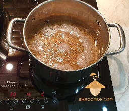Boil grain for substrate for growing psilocybe mushrooms