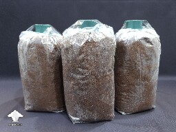 Sawdust Bulk substrate ready for spawn to bulk - Day-to-day Reishi growing diary
