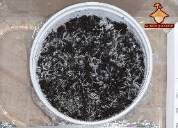 Mushroom cake psilocybe cubensis