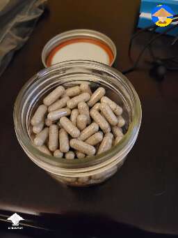 Took 30grams of dry Penis Envy shrooms and made 200 microdose capsules 150mg each