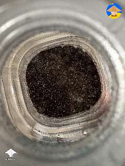 Bottle tek update day 5 #2