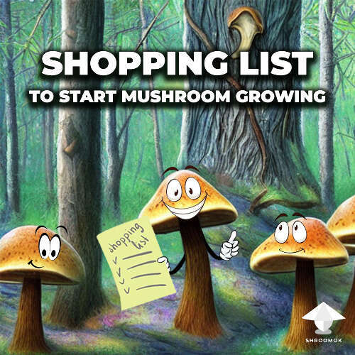 Check list of necessary items for mushroom growing