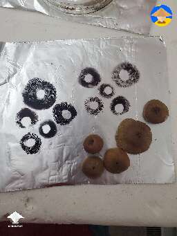 Making spore prints. Crazy how many spores they have