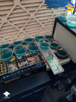 Agar work