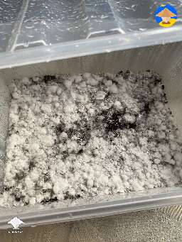 My first grow, I was meant to be doing neglect tek but I’m pretty sure it started forming overlay #2