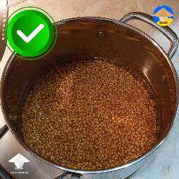 hard red wheat berries for mushroom grain spawn