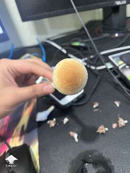 Really cool GT mushroom cap