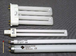 Light for mushroom growing