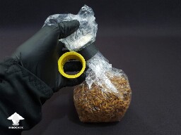 Grain bag air filter - Reishi growing diary