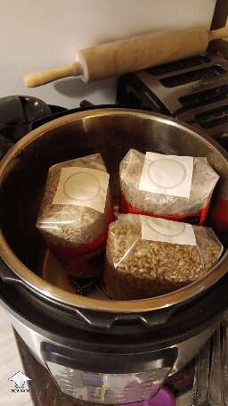 Grain bags sterilization in instant pot on pressure cooker mode for 2 hours and 20 mins