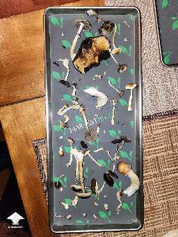First harvest - growing PE and GT