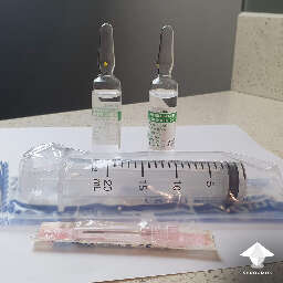 Syringe for spore syringe liquid culture