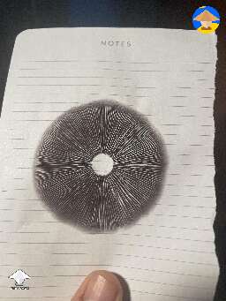 Cubensis Orissa magic mushrooms