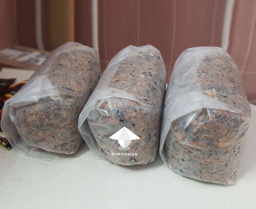 Bulk substrate in grow bags for shiitake