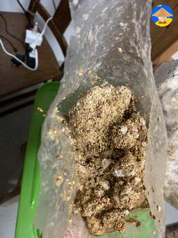 wet bacterial parts to toss