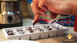 Chocolate sweets with psilocybe mushrooms