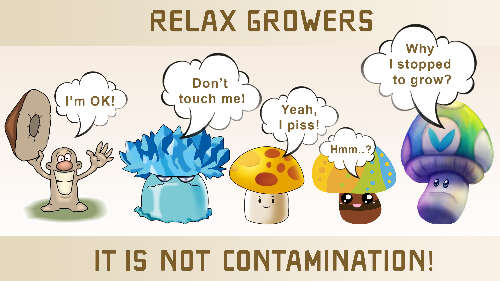 Not contamination problems in mushroom cultivation