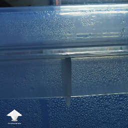 Condensation in growbox monotub for mushroom growing