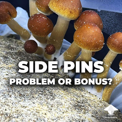 Side and bottom pins