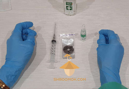 Psilocybin mushroom liquid spore syringe preparation
