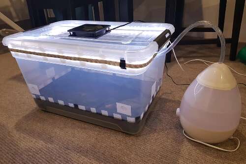 Automated monotub-growbox for mushroom growing