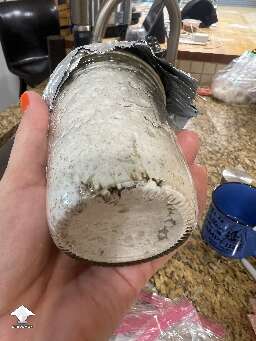 Wondering if these spawn jars are contaminated or if it could be normal for spawn to bulk #2